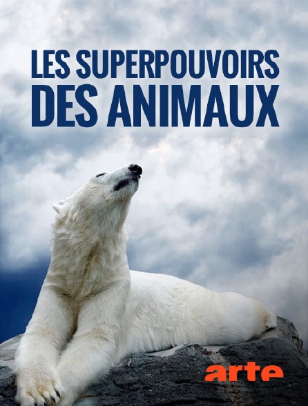 Arte - Les superpouvoirs des animaux