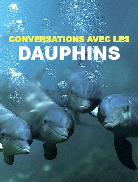 Conversations avec les dauphins