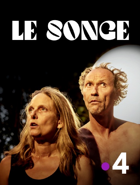 France 4 - Le songe