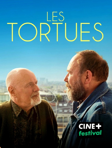 CINE+ Festival - Les Tortues