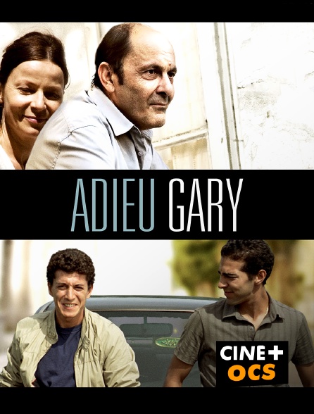 CINÉ Cinéma - Adieu Gary