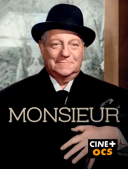 CINÉ Cinéma - Monsieur