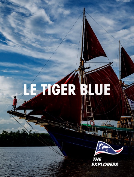 The Explorers - Le Tiger Blue