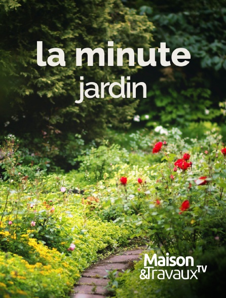 Maison & Travaux - La minute jardin
