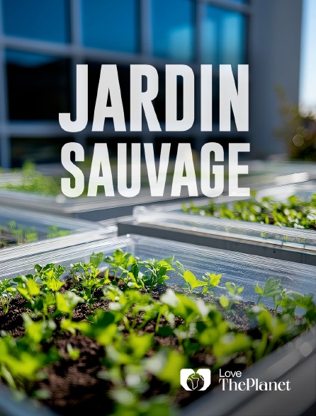 Love the Planet - Jardin sauvage