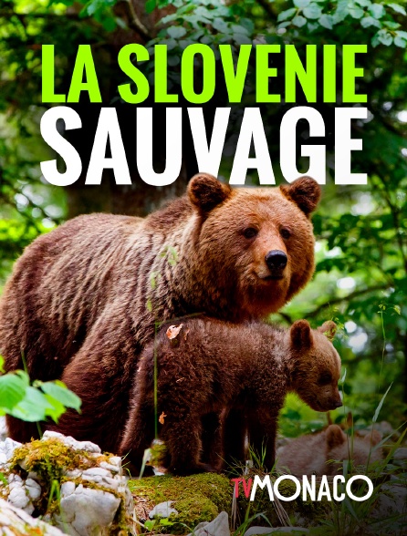 TV Monaco - La Slovénie sauvage