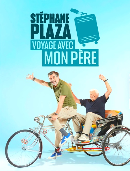 Stéphane Plaza : voyage avec mon père