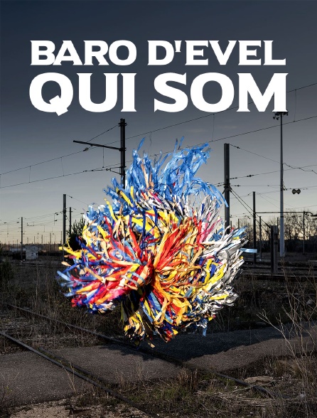 Qui som? : Baro d'evel au Festival d'Avignon 2024