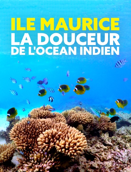 Ile Maurice, la douceur de l'océan Indien