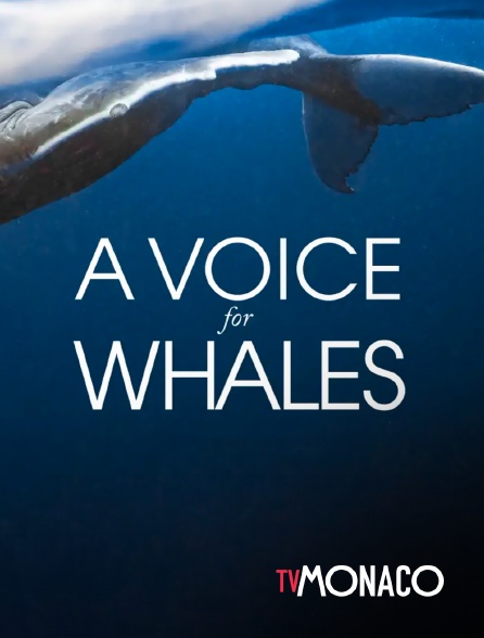 TV Monaco - A voice for whales