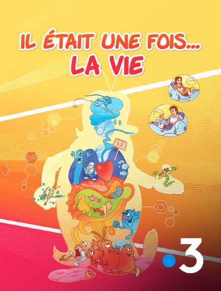 France 3 - Il était une fois... la vie
