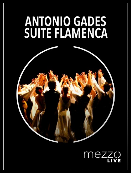 Mezzo Live HD - Antonio Gades : Suite Flamenca