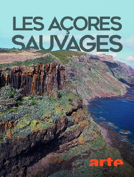 Arte - Les Açores sauvages
