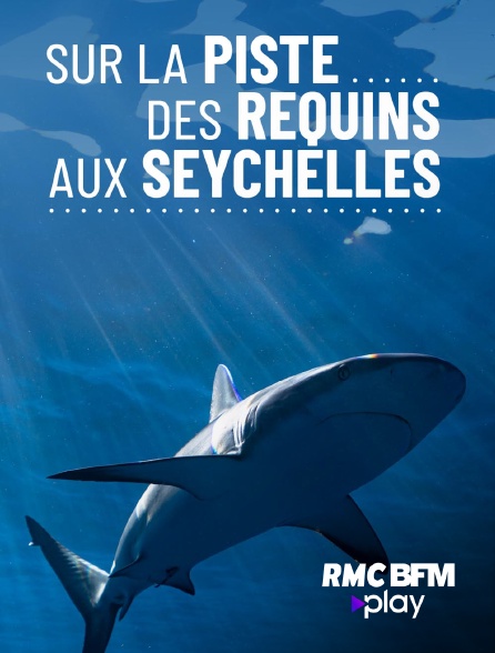 RMC BFM Play - Sur la piste des requins aux Seychelles