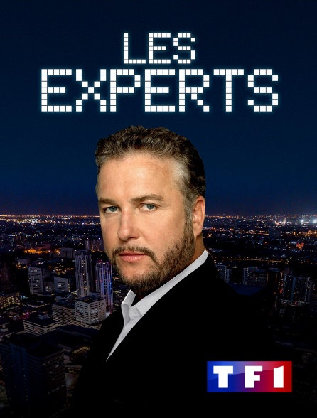 TF1 - Les experts