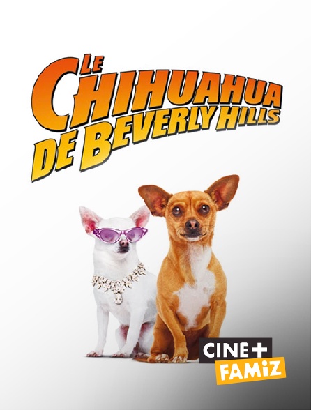 Ciné+ Famiz - Le chihuahua de Beverly Hills