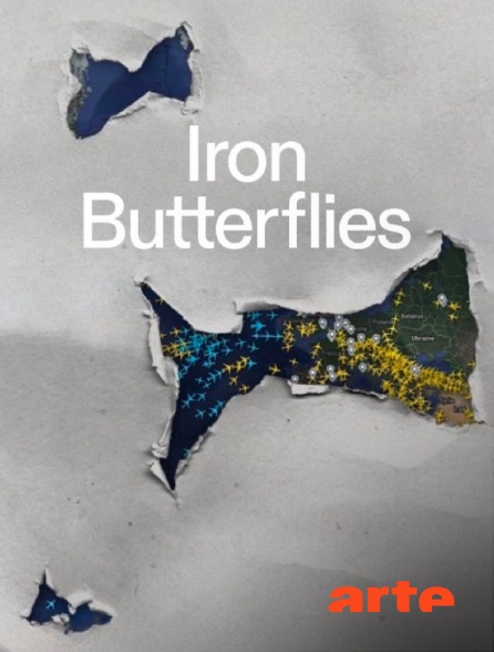 Arte - Iron Butterflies