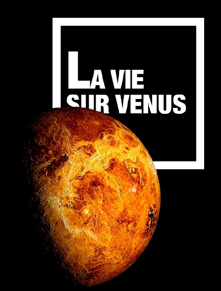 La vie sur Vénus