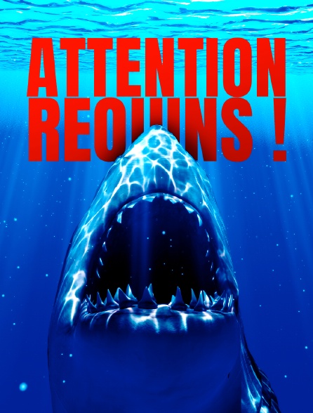 Attention requins !