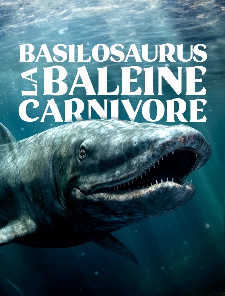 Basilosaurus, la baleine carnivore