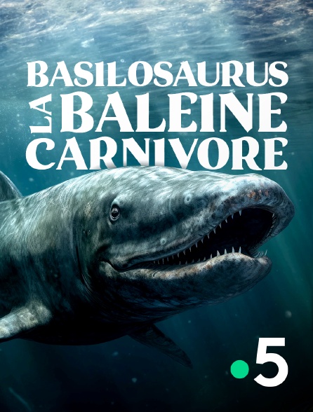 FR - Basilosaurus la baleine carnivore (2023)