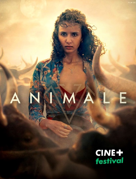CINE+ Festival - Animale