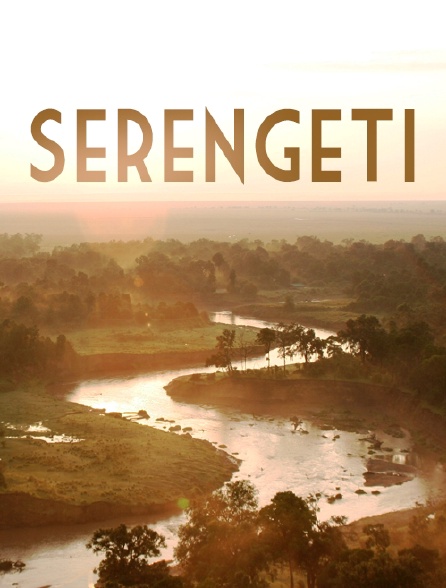 Serengeti, la grande cavalcade des animaux