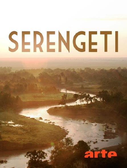 Arte - Serengeti, la grande cavalcade des animaux