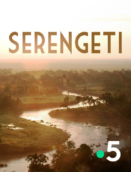 France 5 - Serengeti