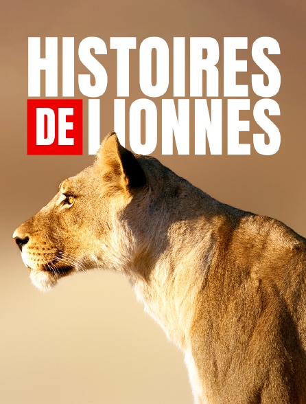 Histoires de lionnes