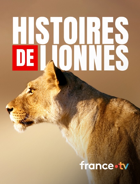 france.tv - Histoires de lionnes