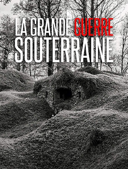 La Grande Guerre souterraine