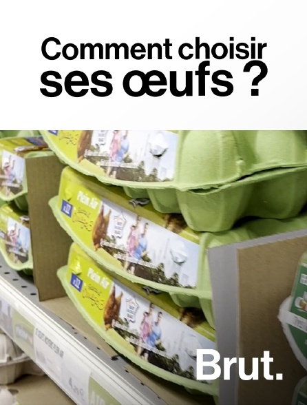 Brut - Comment choisir ses œufs ?