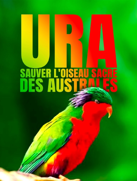 Ura, sauver l'oiseau sacré des australes