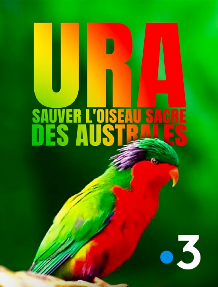 France 3 - Ura, sauver l'oiseau sacré des australes