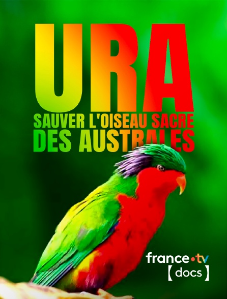 France TV Docs - Ura, sauver l'oiseau sacré des australes