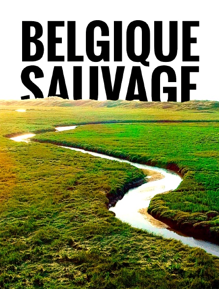 La Belgique sauvage