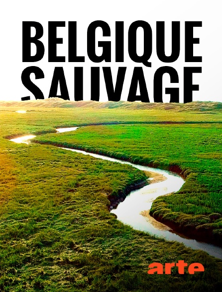 Arte - La Belgique sauvage