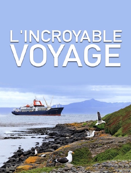 L'incroyable voyage