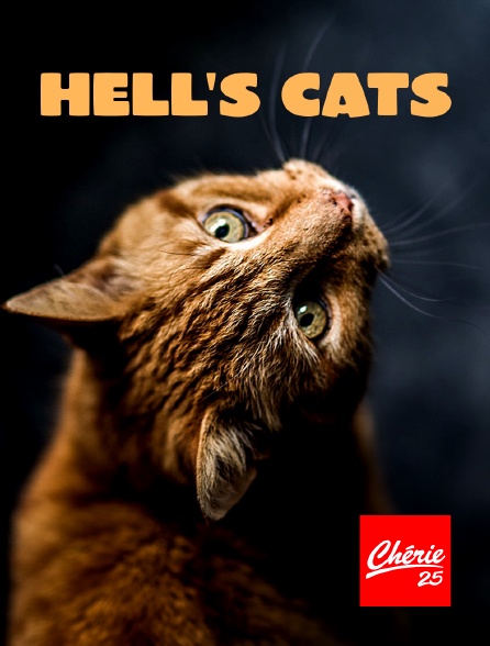Chérie 25 - Hell's Cats