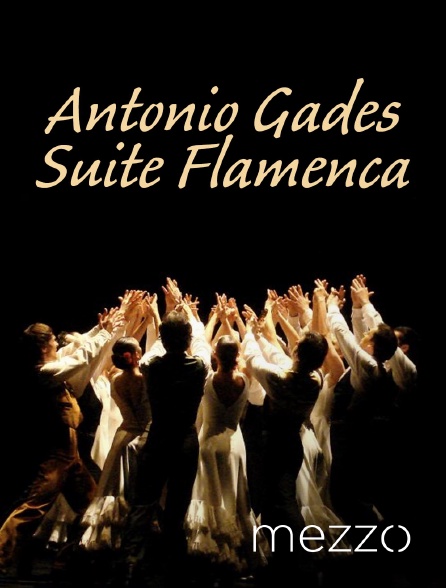 Mezzo - Antonio Gades : Suite Flamenca