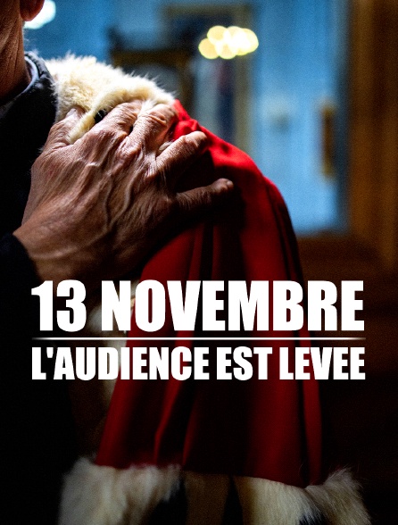 13 novembre - l'audience est levée