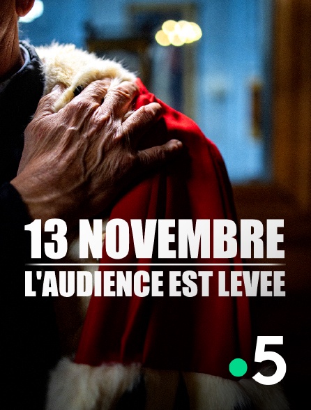 France 5 - 13 novembre - l'audience est levée