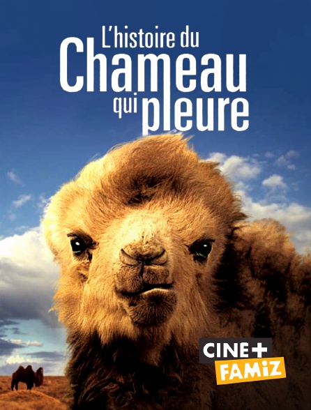 Ciné+ Famiz - L'histoire du chameau qui pleure