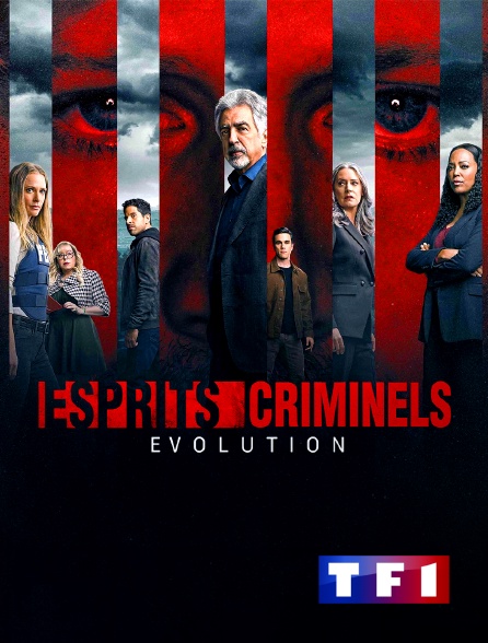 TF1 - Esprits criminels