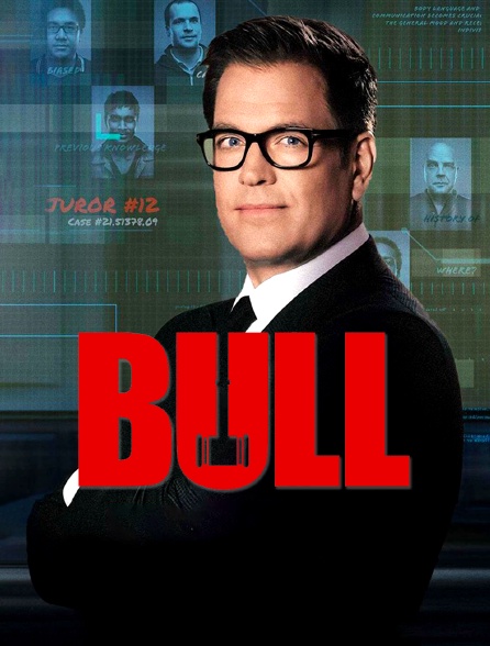 Bull