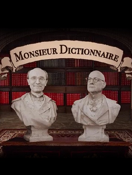 Monsieur dictionnaire