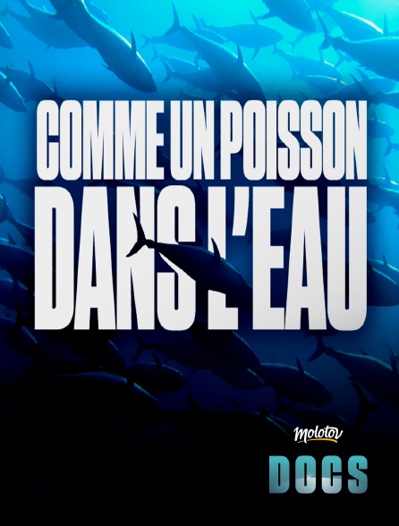 Molotov Channels Docs - Comme un poisson dans l'eau