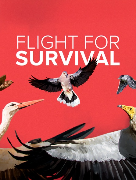 Flight for Survival