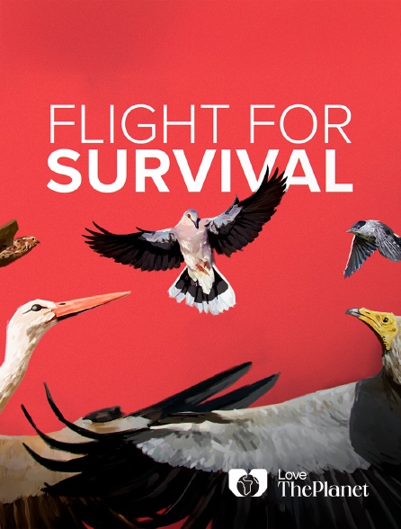 Love the Planet - Flight for Survival